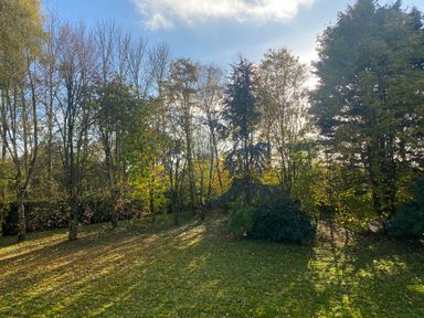 A grassy area with scattered fallen leaves and various trees with sunlight casting shadows at Rivendell in Weybread near Harleston
