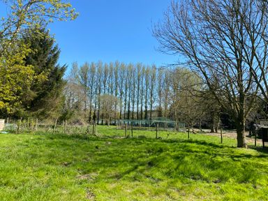 A grassy garden area with trees and fenced sections at Rivendell in Weybread near Harleston