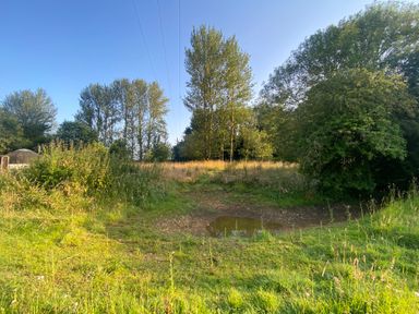 A grassy field with trees a dirt path puddle and power lines at Rivendell in Weybread near Harleston