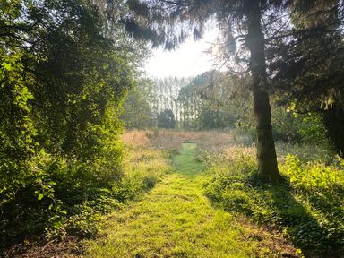 A grassy path through trees and tall grass in a field at Rivendell in Weybread near Harleston