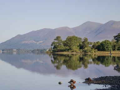 A lake with trees and mountains in the background and ducks near the shore at The Bothy in Keswick