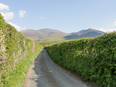 A narrow country road with tall green hedges on both sides and hills in the background at The Bothy in Keswick