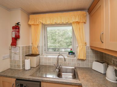 A kitchen sink with yellow checkered curtains and a window showing trees at Apartment 1 in Keswick