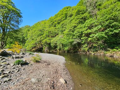 A river flowing through a rocky and pebbled shore with green trees and bushes along the riverbank at Apartment 1 in Keswick