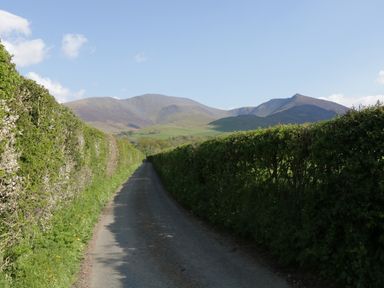 A narrow country road lined with green hedges and hills in the background at Apartment 2 in Keswick