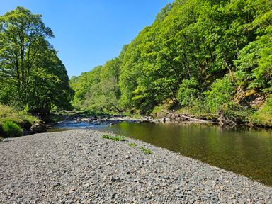 A river with a pebble shore and trees along the banks at Apartment 2 in Keswick