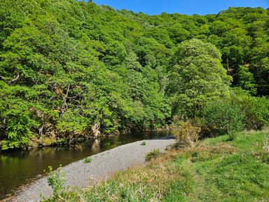 A river flowing beside a gravel bank with trees and bushes on both sides at Apartment 2 in Keswick