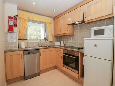 A kitchen with wooden cabinets dishwasher oven stove refrigerator microwave and a window with yellow checked curtains at Apartment 3 Keswick