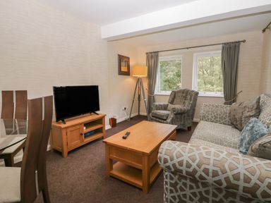 A living room with a sofa an armchair a coffee table a TV on a wooden stand a floor lamp and two windows with curtains at Apartment 4 in Keswick