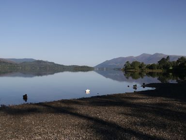 A lake with ducks on the shore and a swan on the water with mountains in the background at Apartment 4 in Keswick