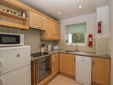 A kitchen with wooden cabinets a microwave refrigerator oven dishwasher and a window with a green blind at Apartment 6 in Keswick
