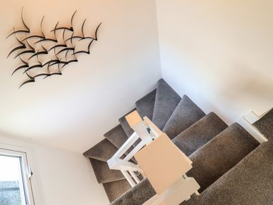 A carpeted staircase with white railing and a window with wall art of birds at Sea Breeze in Porthmadog