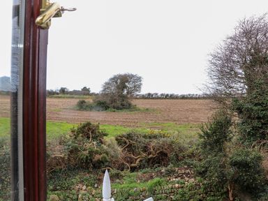 A view of farmland with bushes and trees seen through a window at Chi an Vre in Newlyn