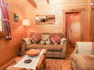A sitting area with two plaid sofas a wooden coffee table and a floor lamp in a wooden cabin at Ballinorig Lodge in Cleator Moor