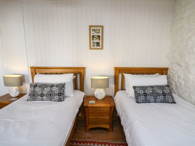 A bedroom with two single wooden beds white bedding and a bedside table with a lamp in between at Ty Len in St Davids
