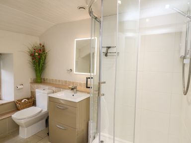 A bathroom with a toilet sink cabinet glass shower and flowers at Ty Len in St Davids