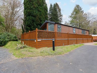 A brown wooden cabin with a fenced deck surrounded by trees at Squirrels Nook in Waterside Wood 19 White Cross Bay near Windermere