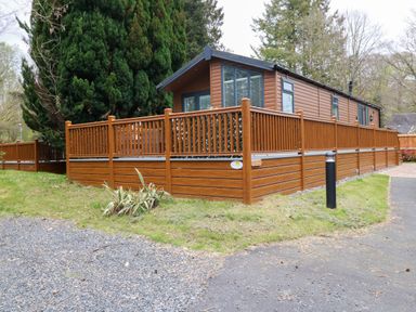 A brown wooden cabin with a fenced deck and surrounding trees at Squirrels Nook Waterside Wood 19 White Cross Bay near Windermere
