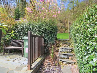 A garden area with a wooden bench a green wheelie bin stone steps leading to a grassy lawn and surrounding greenery at Hafan Cottage in Beddgelert