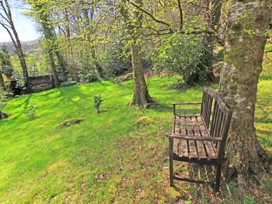 A wooden bench under trees on a grassy lawn with bushes and a woodpile in the background at Hafan Cottage in Beddgelert