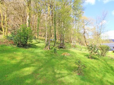 A grassy garden with scattered bushes and trees and a wooden bench at Hafan Cottage in Beddgelert