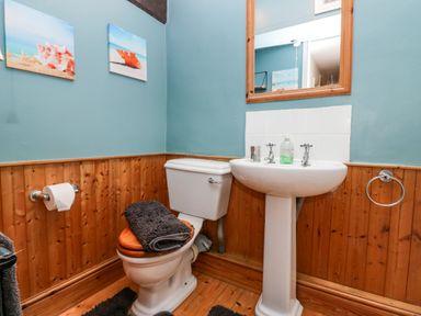 A bathroom with a toilet and sink with wooden paneling and blue walls at Gardeners Cottage in Millom Cumbria