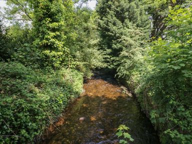 A shallow river with clear water surrounded by dense green trees and bushes at Gardeners Cottage in Millom Cumbria
