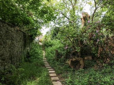 A narrow garden path with stone steps surrounded by dense green plants and trees at Gardeners Cottage in Millom Cumbria