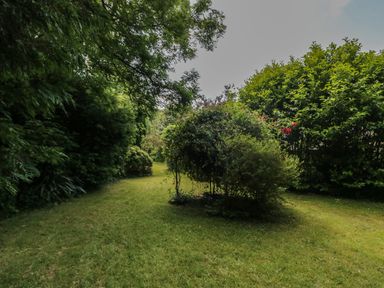 A garden with grass lawn surrounded by dense green bushes and trees at Gardeners Cottage in Millom Cumbria