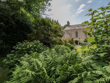 A garden with ferns and various plants in front of a house surrounded by trees at Gardeners Cottage in Millom Cumbria