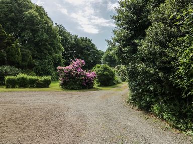 A gravel pathway surrounded by various green trees and shrubs with pink flowers at Gardeners Cottage in Millom Cumbria
