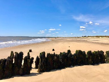A sandy beach with wooden posts covered in seaweed facing the ocean and a blue sky at 3 Albion Cottages in Walberswick