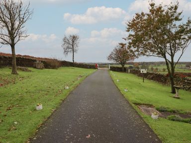 A paved driveway with small flower pots on either side and trees along a stone wall at The Barn in Middleton near Ponteland
