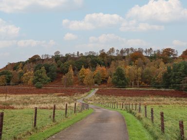 A narrow paved road leading through fields with fences on both sides towards a wooded hill under a partly cloudy sky at The Barn in Middleton near Ponteland
