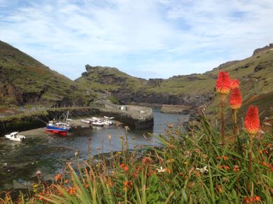 A small harbor with boats surrounded by grassy hills and red flowers in the foreground at Harbour Light in Boscastle