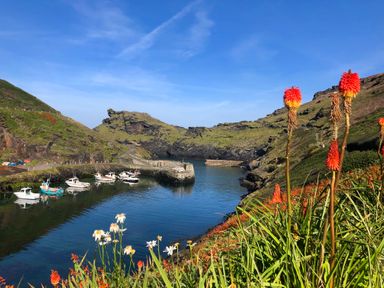 A small harbor with boats docked surrounded by rocky hills and flowers in the foreground at Harbour Light Boscastle