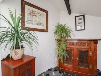 A corner with wooden cabinets and potted plants under framed pictures on white walls at Harbour Light in Boscastle