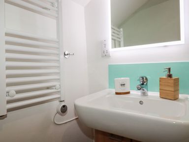 A bathroom sink with soap dispenser and toothbrush holder next to a heated towel rail at Harbour Light in Boscastle