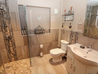 A bathroom with a shower area toilet sink and decorative items at Garden View in Pembroke