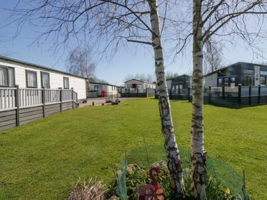 A grassy outdoor area with multiple mobile homes and two birch trees at Lakeside Haven in Carnforth