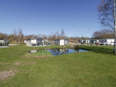 A small pond with ducks in front of several modern cabins surrounded by grass and trees at Lakeside Haven in Carnforth