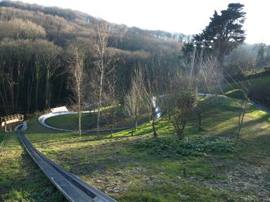 A hillside with a metal luge track running through trees and grass in a wooded area