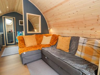 A living area with a sofa covered with orange and grey throws and multiple cushions with a blue wall and wooden ceiling at Heron Pod in Nantmawr near Trefonen