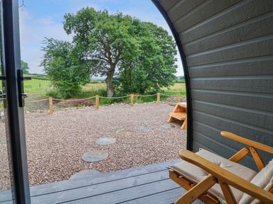A wooden chair on a small deck looking out to a gravel area with stepping stones and trees at Heron Pod in Nantmawr near Trefonen