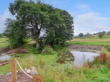 A small pond surrounded by grass and trees in a rural field at Heron Pod Nantmawr near Trefonen