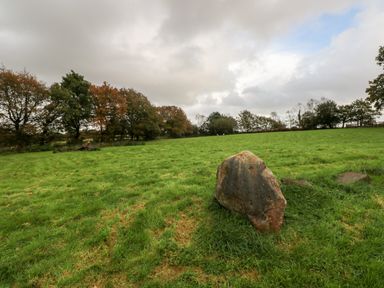 A grassy field with a large rock in the foreground and trees in the background at Barn 2 in Ystradgynlais