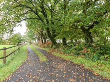 A tree-lined driveway with fallen leaves and a wooden fence at Barn 2 in Ystradgynlais