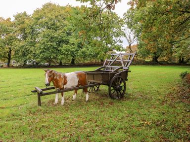 A wooden horse cart on grass with trees in the background at Barn 2 in Ystradgynlais