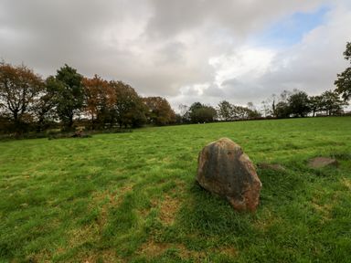 A grassy field with a large rock in the foreground and trees in the background at Barn 3 Cwm-twrch Isaf near Ystradgynlais