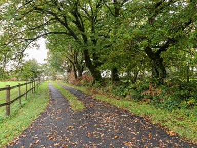 A tree-lined driveway with wood fence and fallen leaves at Barn 3 in Cwm-twrch Isaf near Ystradgynlais